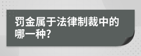 罚金属于法律制裁中的哪一种?