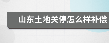 山东土地关停怎么样补偿