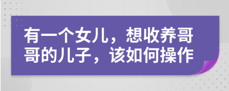 有一个女儿，想收养哥哥的儿子，该如何操作