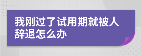 我刚过了试用期就被人辞退怎么办