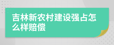 吉林新农村建设强占怎么样赔偿