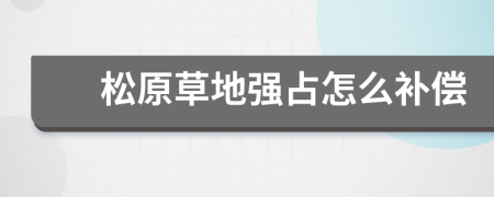 松原草地强占怎么补偿