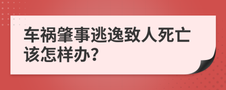车祸肇事逃逸致人死亡该怎样办？