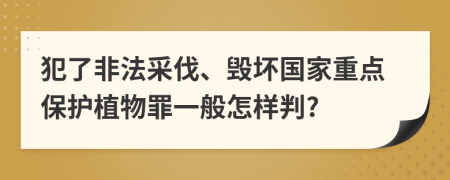 犯了非法采伐、毁坏国家重点保护植物罪一般怎样判?