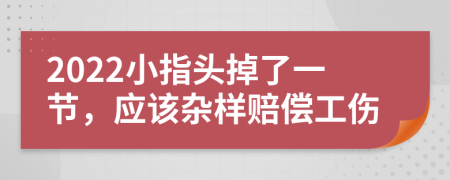 2022小指头掉了一节，应该杂样赔偿工伤