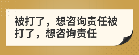 被打了，想咨询责任被打了，想咨询责任