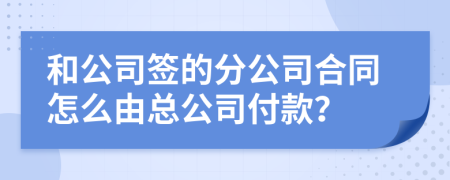 和公司签的分公司合同怎么由总公司付款？