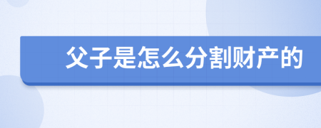 父子是怎么分割财产的