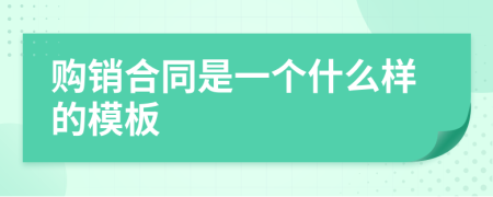 购销合同是一个什么样的模板