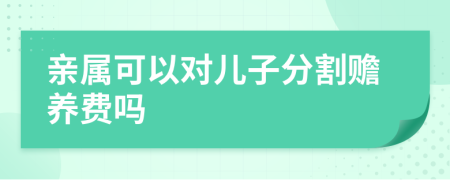 亲属可以对儿子分割赡养费吗