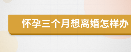 怀孕三个月想离婚怎样办