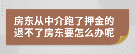 房东从中介跑了押金的退不了房东要怎么办呢
