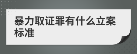 暴力取证罪有什么立案标准