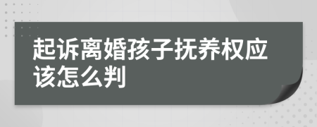 起诉离婚孩子抚养权应该怎么判