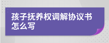 孩子抚养权调解协议书怎么写
