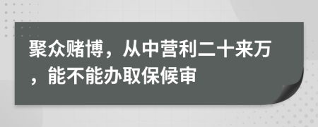 聚众赌博，从中营利二十来万，能不能办取保候审