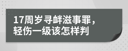 17周岁寻衅滋事罪，轻伤一级该怎样判