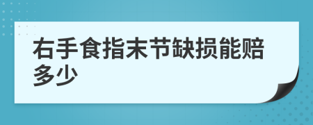 右手食指末节缺损能赔多少