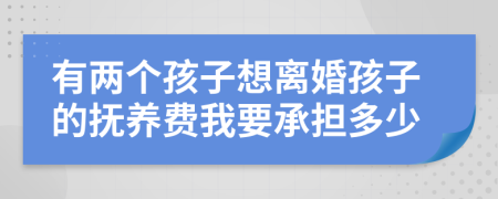 有两个孩子想离婚孩子的抚养费我要承担多少