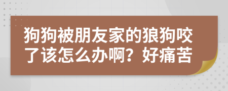 狗狗被朋友家的狼狗咬了该怎么办啊？好痛苦