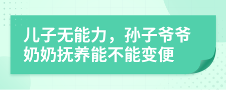 儿子无能力，孙子爷爷奶奶抚养能不能变便