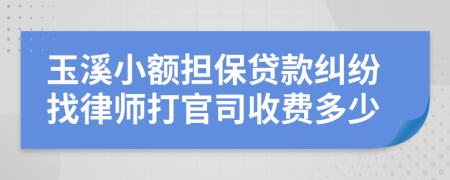 玉溪小额担保贷款纠纷找律师打官司收费多少