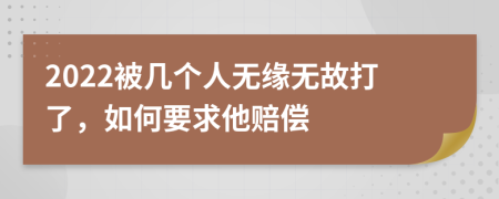 2022被几个人无缘无故打了，如何要求他赔偿