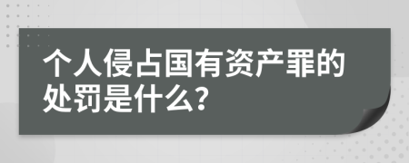 个人侵占国有资产罪的处罚是什么？