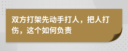 双方打架先动手打人，把人打伤，这个如何负责