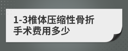 1-3椎体压缩性骨折手术费用多少