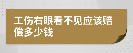 工伤右眼看不见应该赔偿多少钱