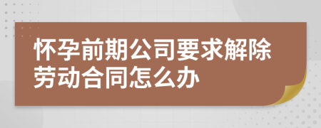 怀孕前期公司要求解除劳动合同怎么办