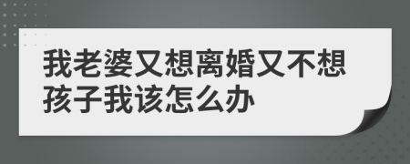 我老婆又想离婚又不想孩子我该怎么办