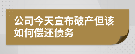 公司今天宣布破产但该如何偿还债务