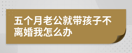 五个月老公就带孩子不离婚我怎么办