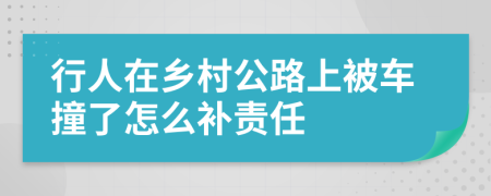 行人在乡村公路上被车撞了怎么补责任