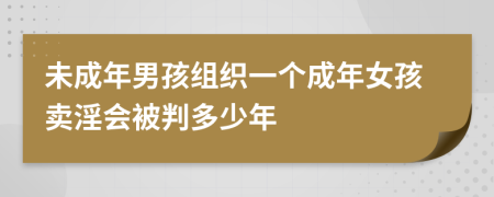 未成年男孩组织一个成年女孩卖淫会被判多少年