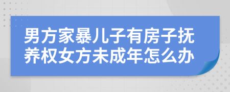 男方家暴儿子有房子抚养权女方未成年怎么办