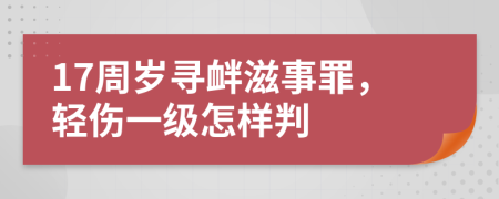 17周岁寻衅滋事罪，轻伤一级怎样判