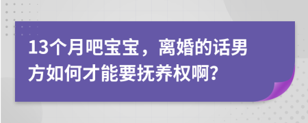 13个月吧宝宝，离婚的话男方如何才能要抚养权啊？