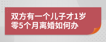 双方有一个儿子才1岁零5个月离婚如何办