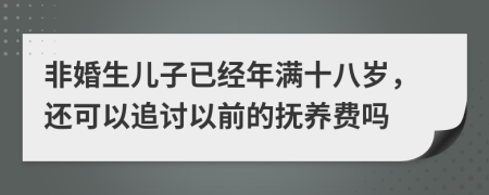 非婚生儿子已经年满十八岁，还可以追讨以前的抚养费吗