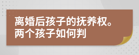 离婚后孩子的抚养权。两个孩子如何判