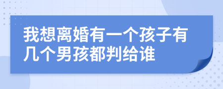 我想离婚有一个孩子有几个男孩都判给谁