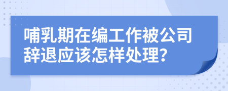 哺乳期在编工作被公司辞退应该怎样处理？