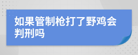 如果管制枪打了野鸡会判刑吗