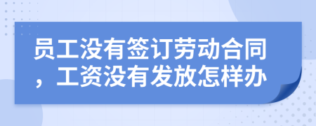 员工没有签订劳动合同，工资没有发放怎样办