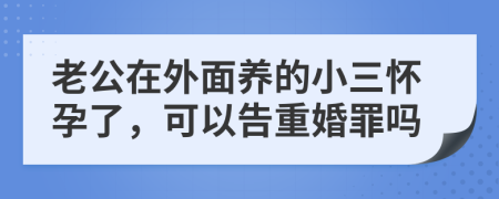 老公在外面养的小三怀孕了，可以告重婚罪吗