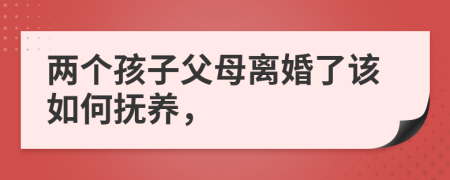 两个孩子父母离婚了该如何抚养，