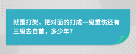 就是打架，把对面的打成一级重伤还有三级去自首，多少年?